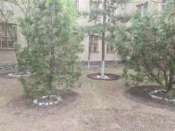 Общереспубликанский субботник