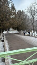 Субботник 31 января