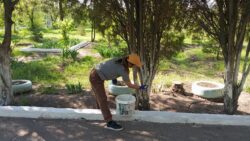 Традиционный субботник